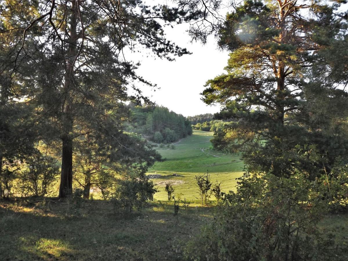 Agroturystyka Dolina23 Villa Piaski Buitenkant foto